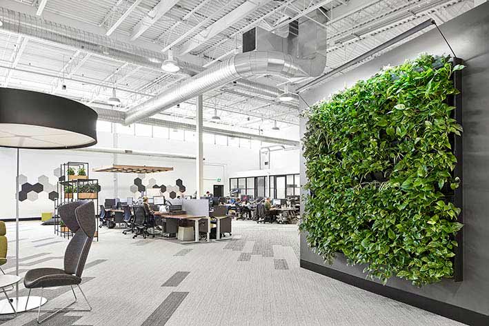 Open space workstation area with some biophilic wall elements throughout