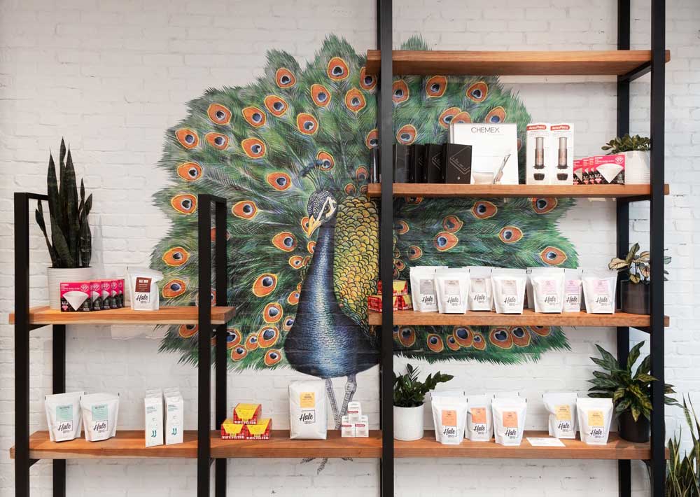 Frontal view Mr. Peackock peeking through behind the industrial style wall shelving displaying product