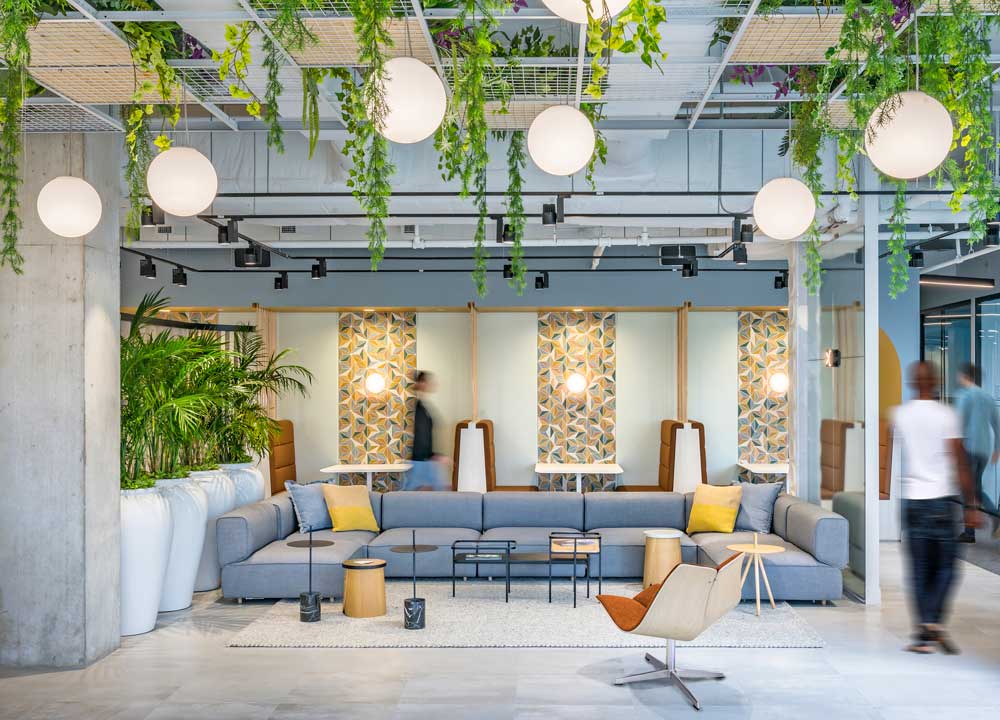 Bright and open central lounge area with booth seating behind and biophilia in large pots hanging from the ceiling along with large lighting globes