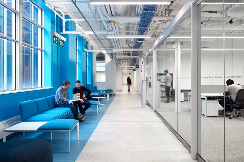 Vibrant blue accent walls spanning from floor to ceiling in lounge areas throughout the hallways