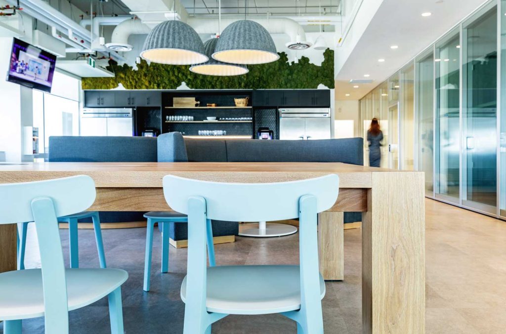 Biophilia is present on the wall above the kitchen cabinets in a new and bright kitchen and cafeteria area