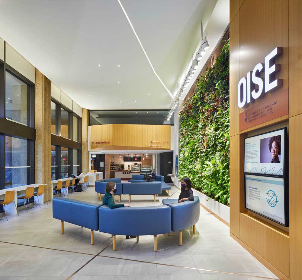 View of the lobby with modular curvy seating in a blue colour and seating area along the wall of windows