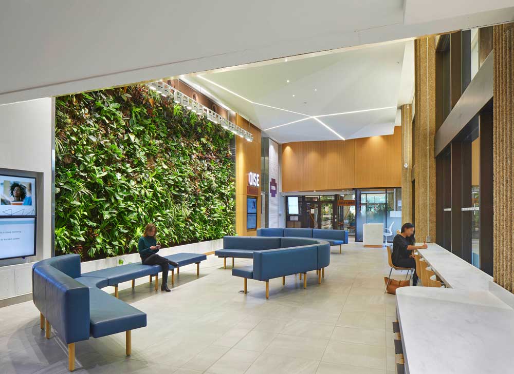 View of the lobby facing the elevator entrance with modular curvy seating in a blue colour and seating area along the wall of windows