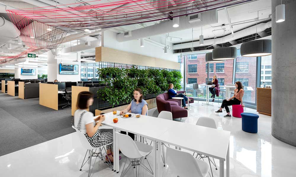 Work station area divided by a green wall from the open collaboration area