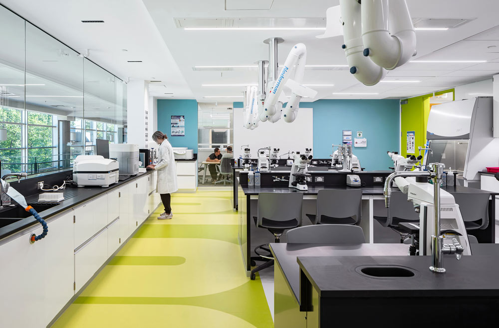 Laboratory with bright yellow floors and bright blue walls that make this space lively and bright