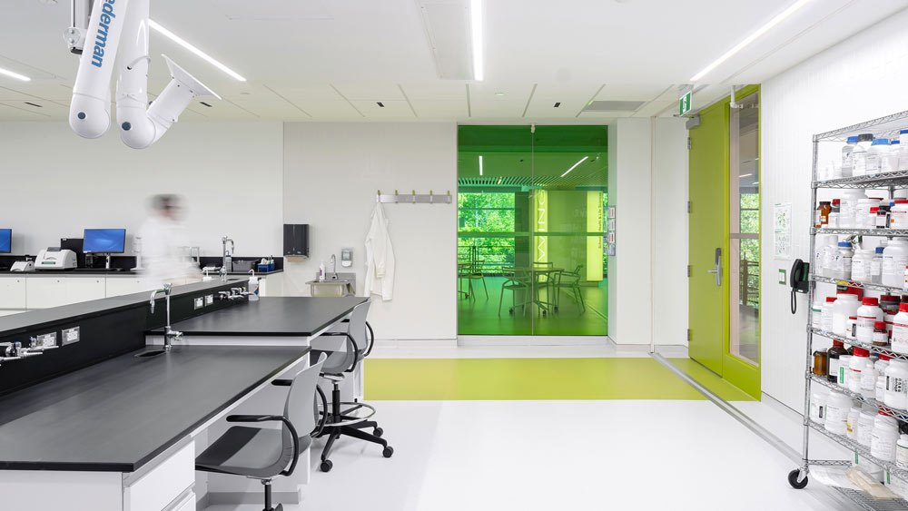 Another view from the lab, showing the green glass wall partition looking onto the hallway