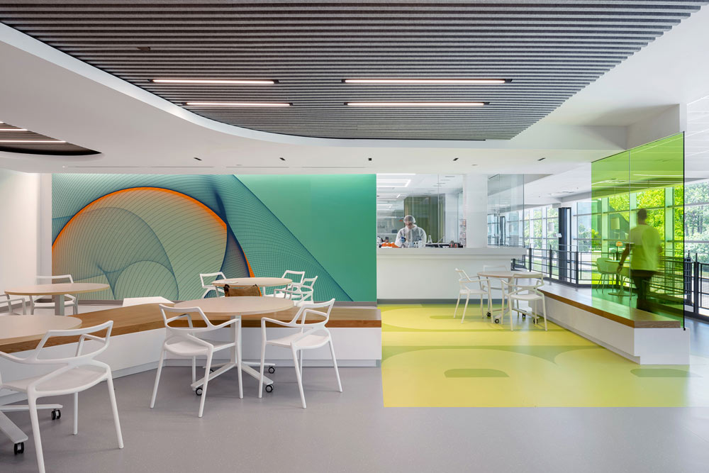 Hallway outside one of the laboratories, features a seating area with a brightly coloured wall right above the bench